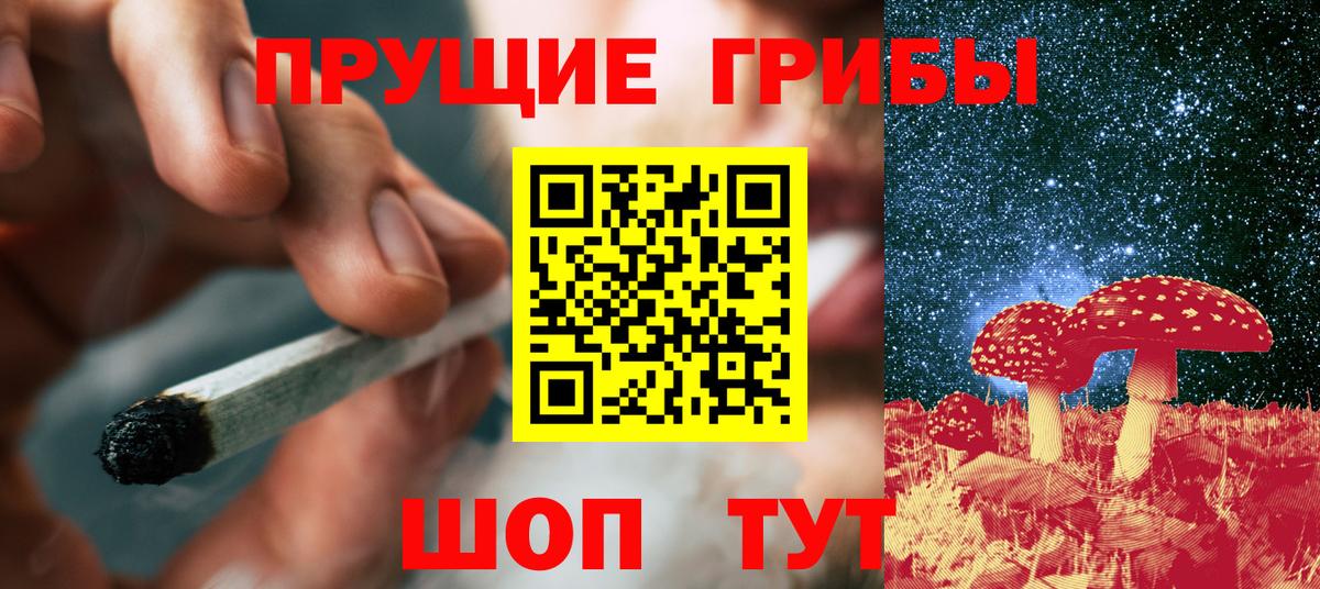 Псилоцибиновые грибы GOLDEN TEACHER Карачаевск