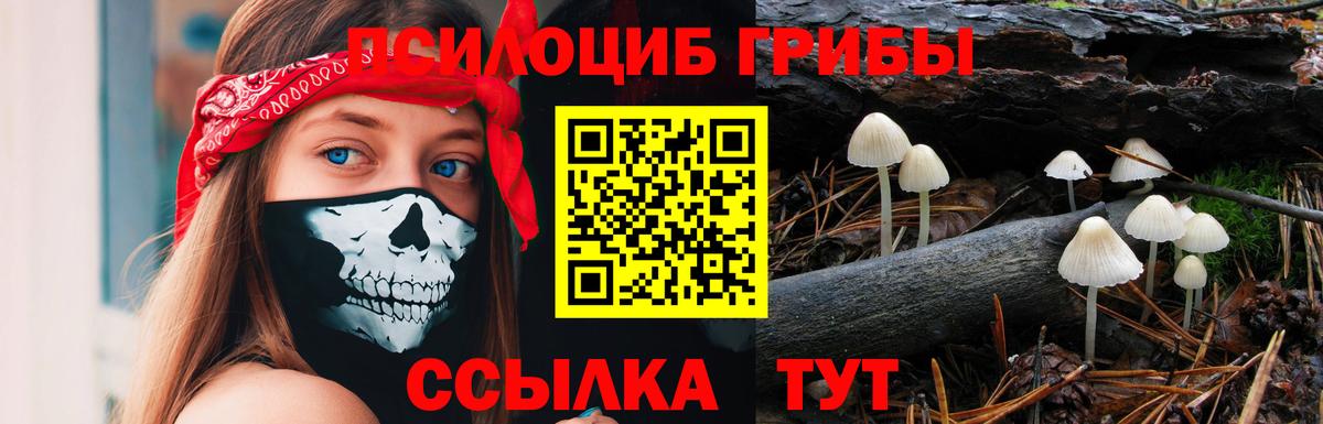 Карачаевск  Галлюциногенные грибы мицелий  Вход с VPN 